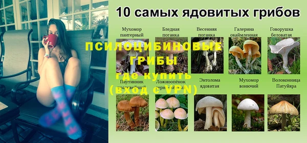 прущая мука Бронницы